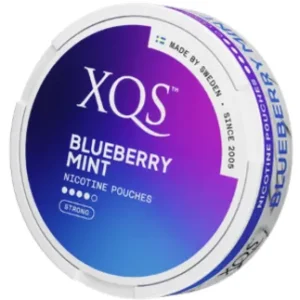 XQS Blueberry Mint Slim Strong
