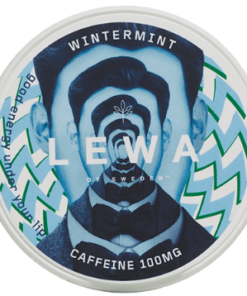 LEWA Wintermint Nikotinfritt Snus