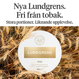Lundgrens