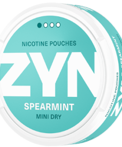 ZYN Spearmint Mini Dry