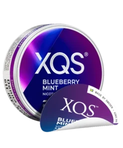 XQS Blueberry Mint