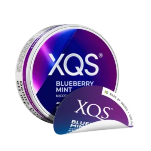 XQS Blueberry Mint