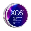 XQS Blueberry Mint Strong
