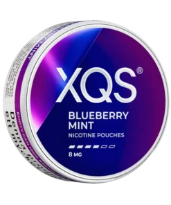 XQS Blueberry Mint Strong
