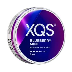 XQS Blueberry Mint Strong