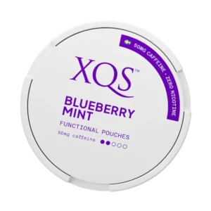 XQS Blueberry Mint Nikotinfritt Snus