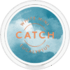 Catch Eucalyptus White Mini