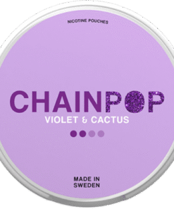 Chainpop Violet & Cactus