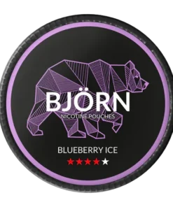 BJÖRN Blueberry ICE