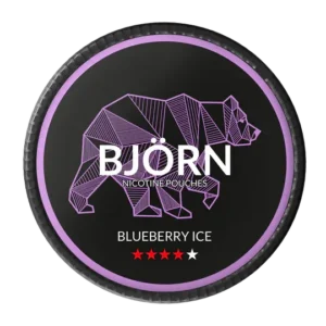 BJÖRN Blueberry ICE