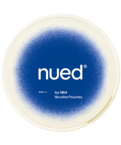 nued Icy Mint 2